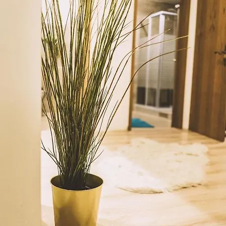 Ferienwohnung-lenne-finnentrop Appartement Finnentrop