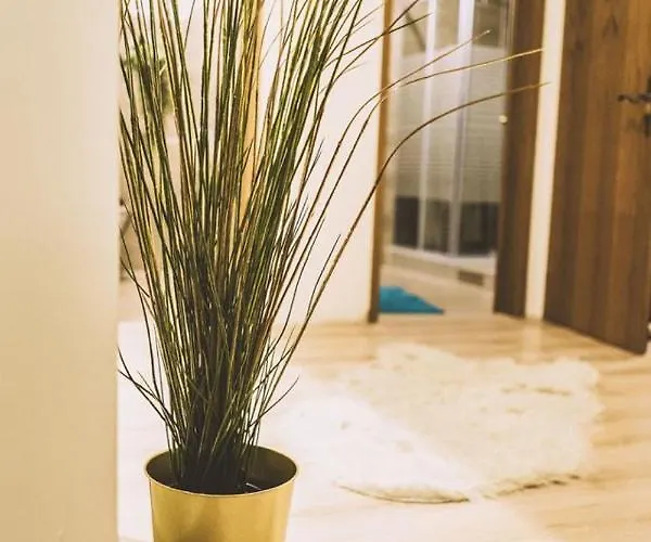 Ferienwohnung-lenne-finnentrop Appartement Finnentrop